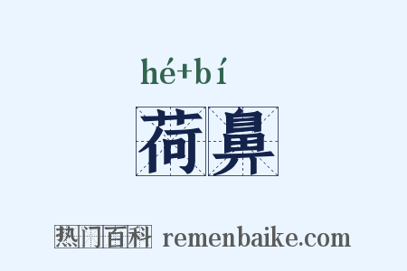 荷鼻是什么意思的图片